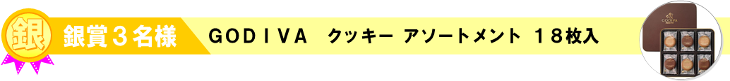 銀賞　ゴディバ クッキー