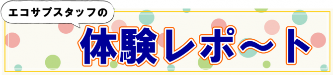 エコサプスタッフ、体験レポート！まとめページ