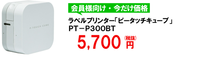 ピータッチキューブ　PT-P300BT